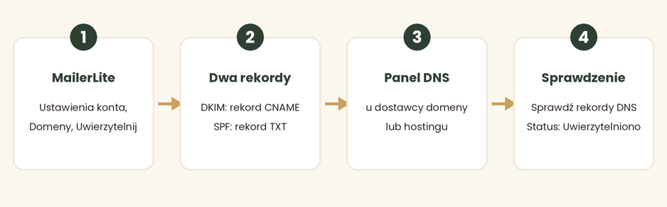 Schemat: uwierzytelnienie domeny w MailerLite w czterech krokach